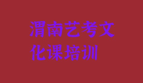 渭南临渭区艺考文化课培训学艺考文化课，敬请留意”