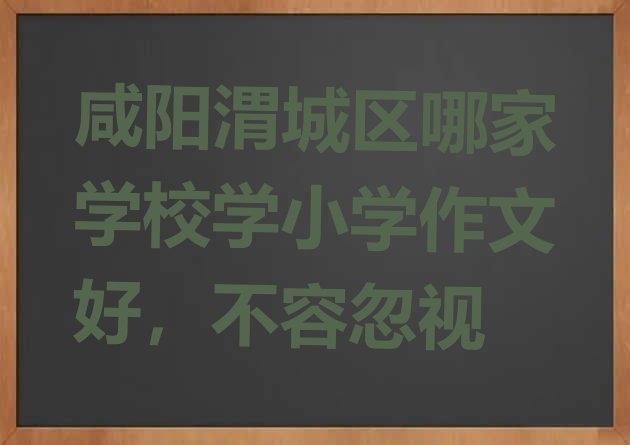 咸阳渭城区哪家学校学小学作文好，不容忽视”