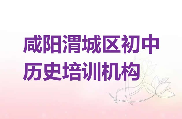 咸阳渭城区初中历史教育培训靠前的机构有哪些好，对比分析”