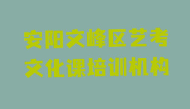 1月安阳文峰区艺考文化课班培训学校有哪些”