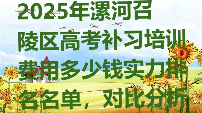 2025年漯河召陵区高考补习培训费用多少钱实力排名名单，对比分析”