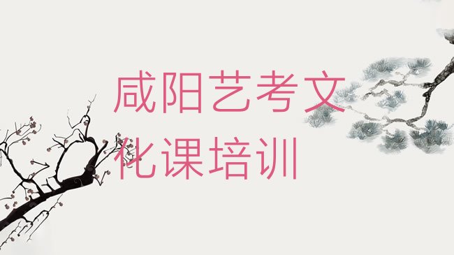 十大咸阳渭城区艺考文化课培训机构实力排名名单，倾心推荐排行榜